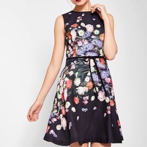 Ted Baker Izobela Floral Dress Sz4